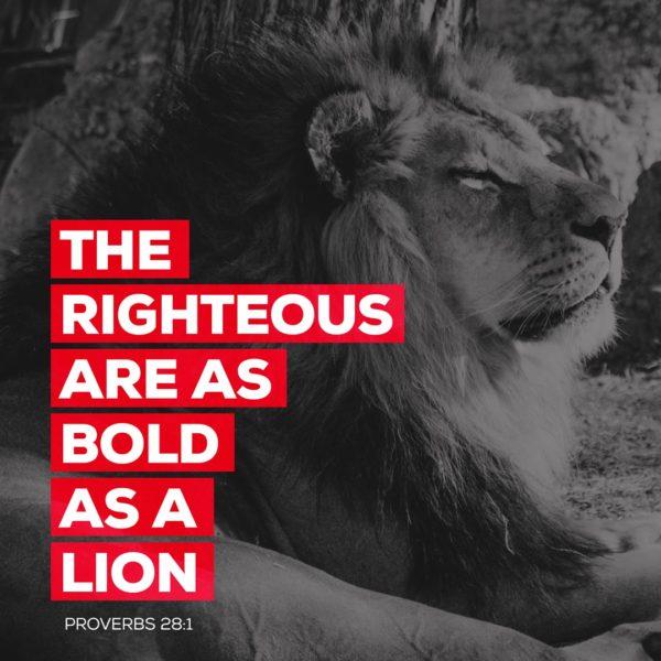 The righteous are as bold as a lion. – Proverbs 28:1