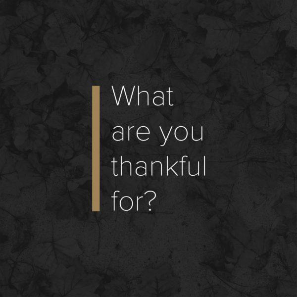 What are you thankful for?