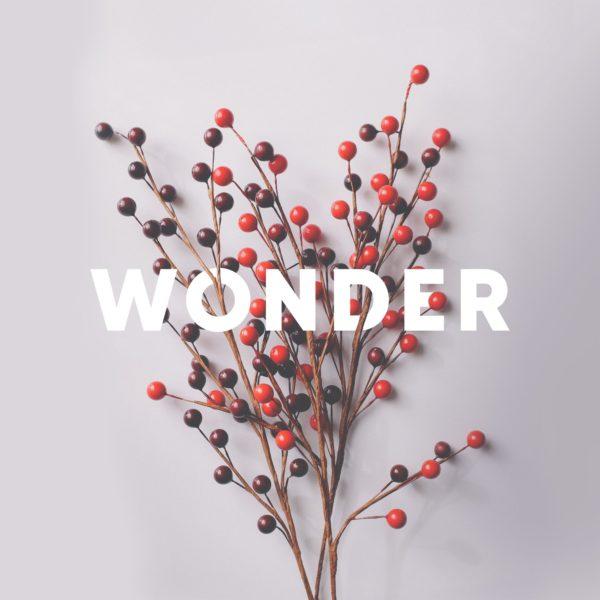 Wonder