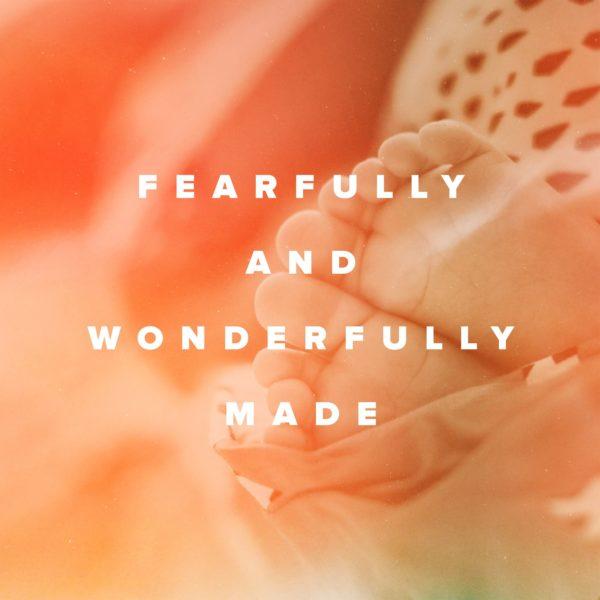 Fearfully and wonderfully made.