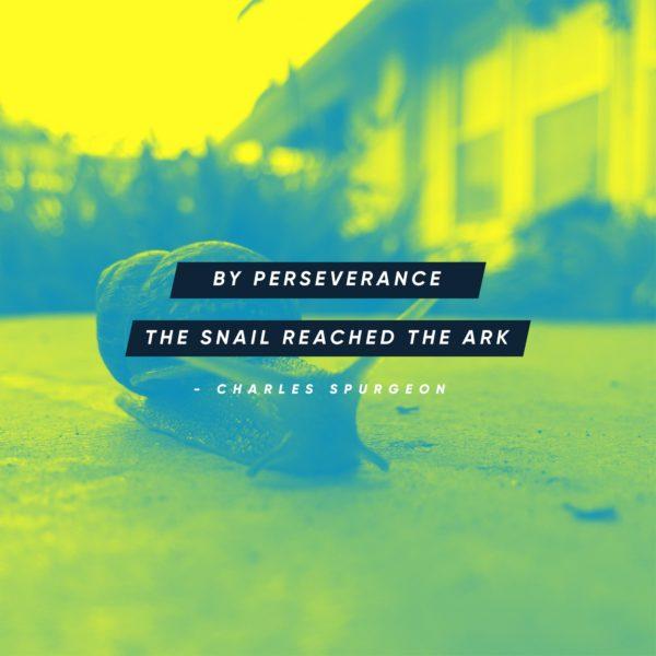 By perseverance the snail reached the ark. – Charles Spurgeon