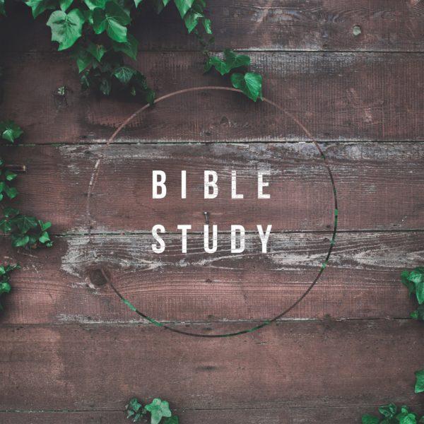 Bible Study