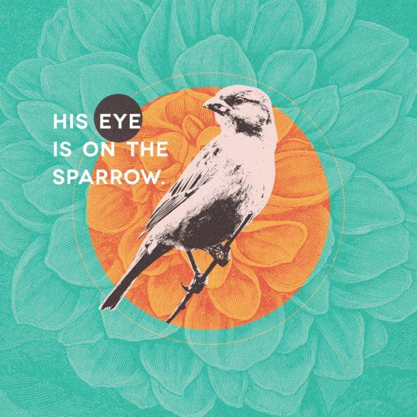 His eye is on the sparrow.