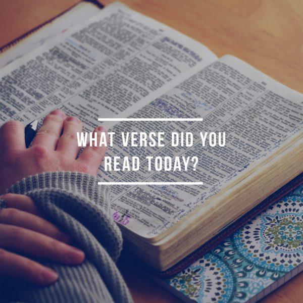 What verse did you read today?