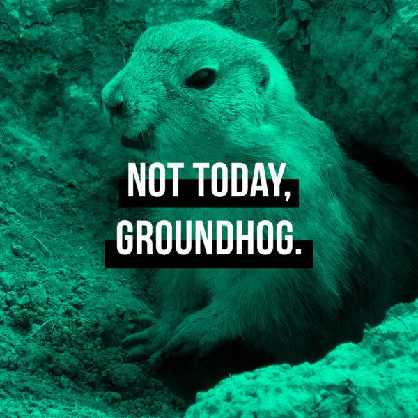 Not today, groundhog.