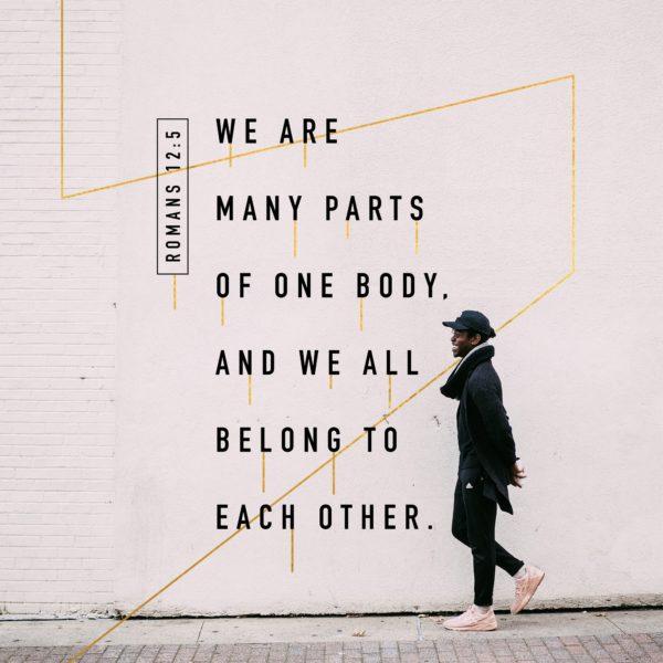 We are many parts of one body, and we all belong to each other. – Romans 12:5