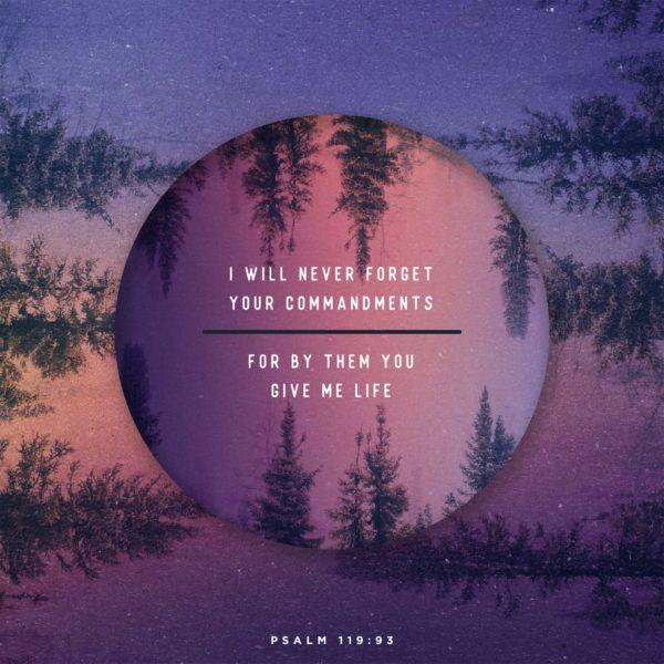 I will never forget your commandments, for by them you give me life. – Psalm 119:93