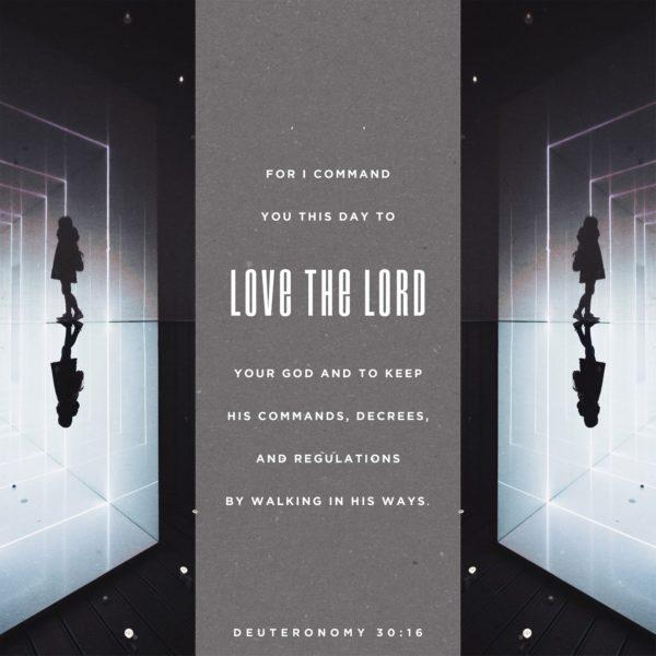 For I command you this day to love the LORD your God and to keep his commands, decrees, and regulations by walking in...