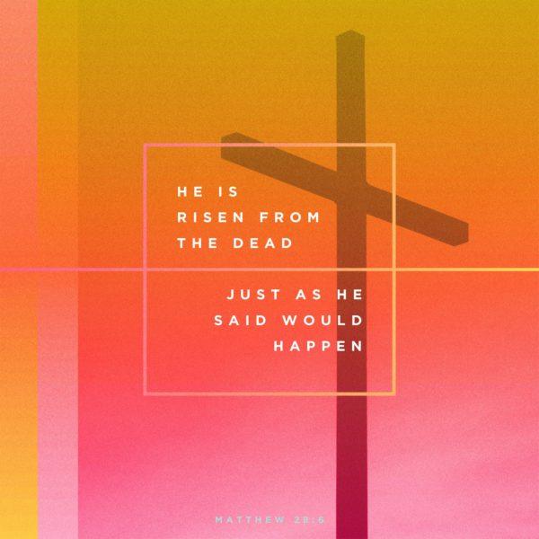 He is risen from the dead, just as he said would happen. – Matthew 28:6