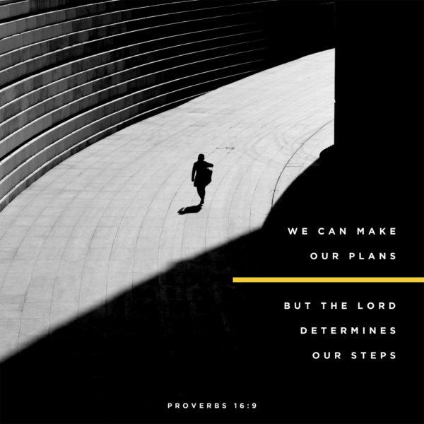 We can make our plans, but the LORD determines our steps. – Proverbs 16:9