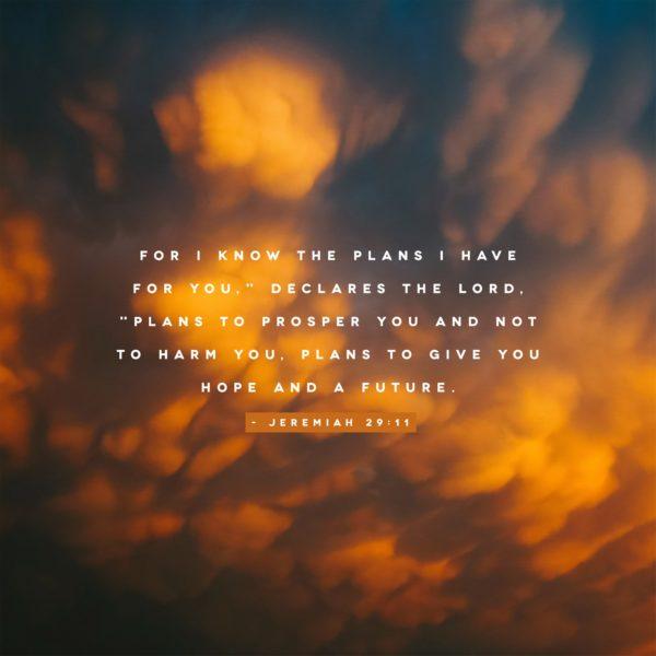 “For I know the plans I have for you,” declares the LORD, “plans to prosper you and not to harm you...