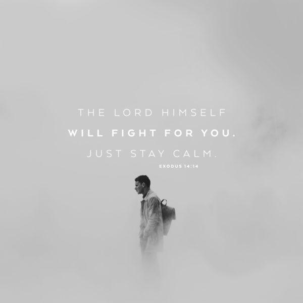 The LORD himself will fight for you. Just stay calm. – Exodus 14:14