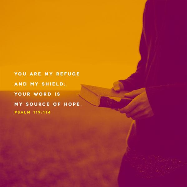 You are my refuge and my shield; your word is my source of hope. – Psalms 119:114