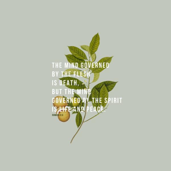 The mind governed by the flesh is death, but the mind governed by the Spirit is life and peace. – Romans 8:6