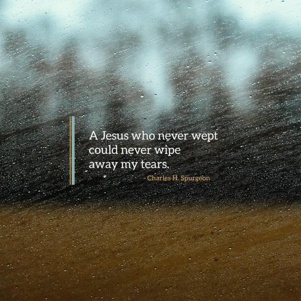 A Jesus who never wept could never wipe away my tears. – Charles H. Spurgeon