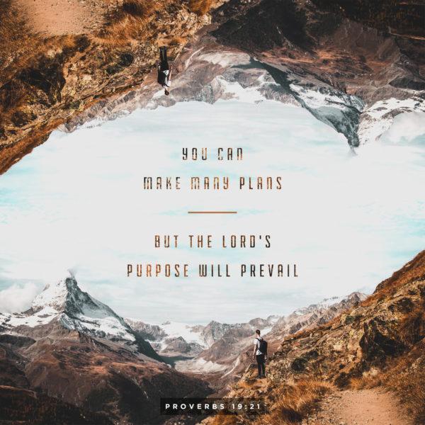 You can make many plans, but the LORD’s purpose will prevail. – Proverbs 19:21