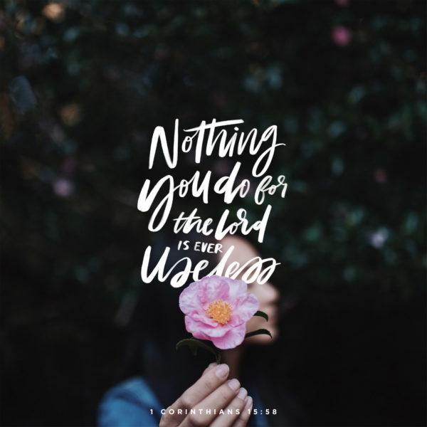 nothing you do for the Lord is ever useless. – 1 Corinthians 15:58