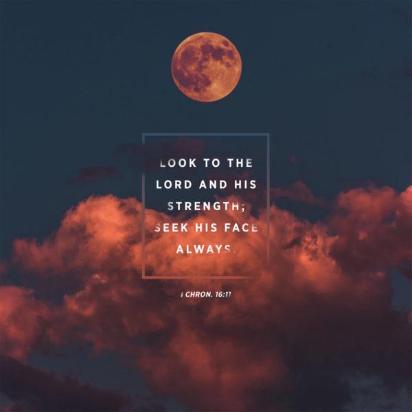 Look to the LORD and his strength; seek his face always. – 1 Chronicles 16:11