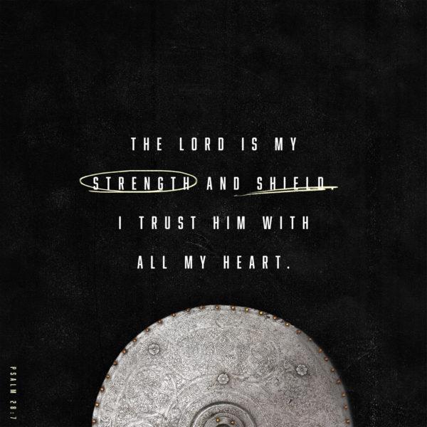 The LORD is my strength and shield. I trust him with all my heart. – Psalm 28:7