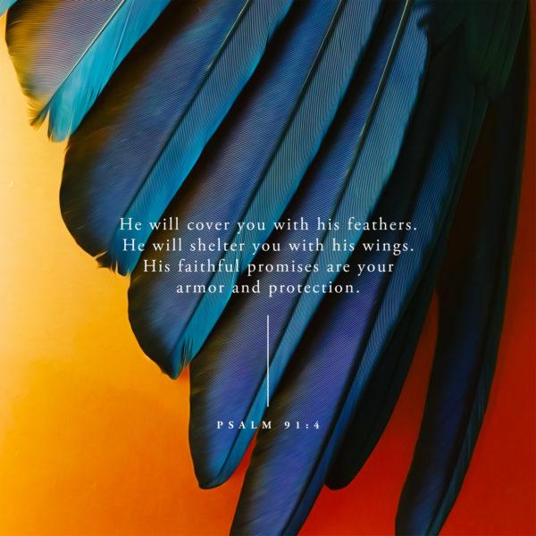 He will cover you with his feathers. He will shelter you with his wings. His faithful promises are your armor and pro...