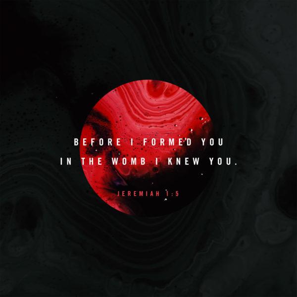 Before I formed you in the womb I knew you. – Jeremiah 1:5