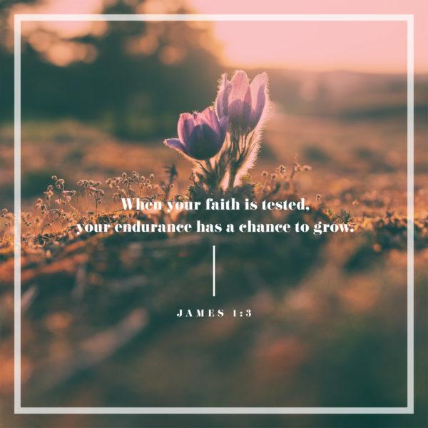 When your faith is tested, your endurance has a chance to grow. – James 1:3