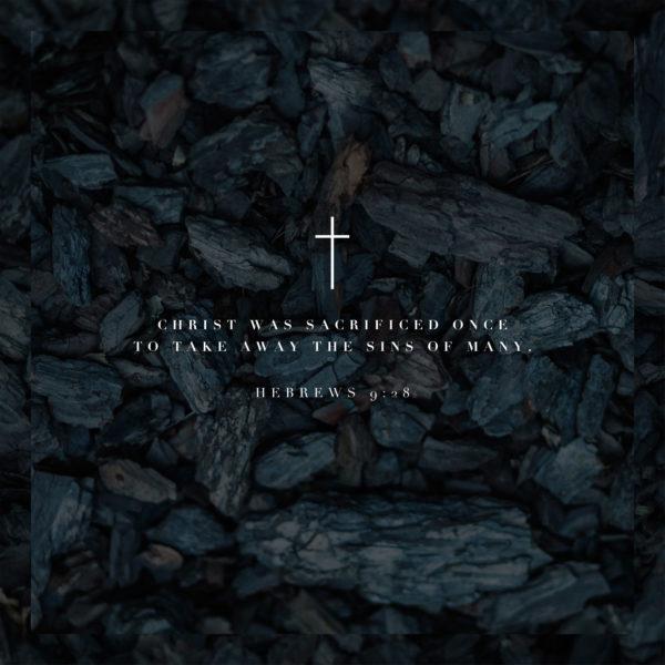 Christ was sacrificed once to take away the sins of many. – Hebrews 9:28