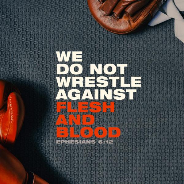 We do not wrestle against flesh and blood. – Ephesians 6:12