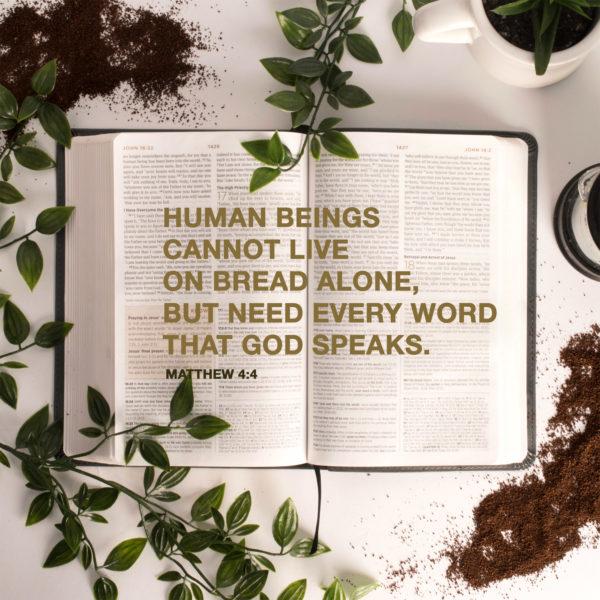 Human beings cannot live on bread alone, but need every word that God speaks. – Matthew 4:4