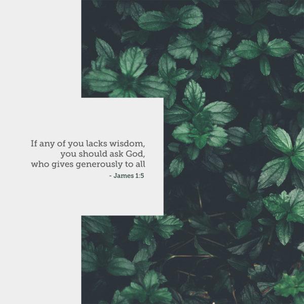 If any of you lacks wisdom, you should ask God, who gives generously to all – James 1:5