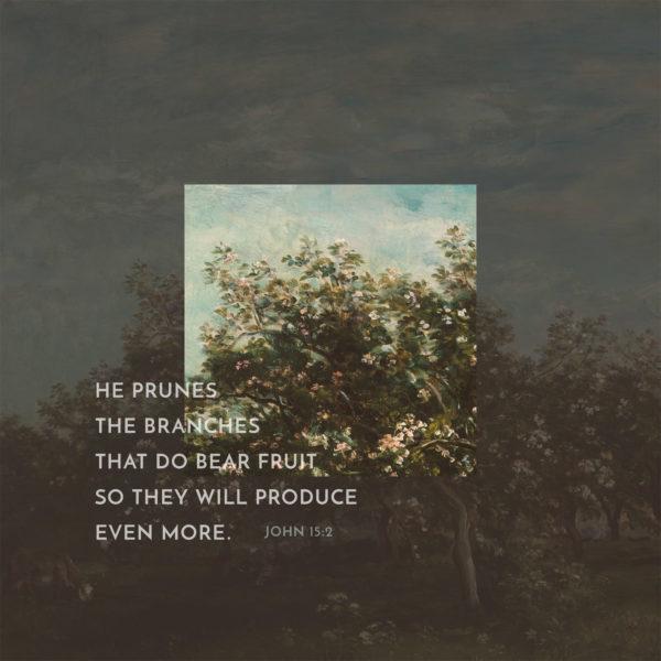 He prunes the branches that do bear fruit so they will produce even more. – John 15:2