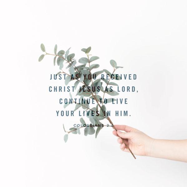 Just as you received Christ Jesus as Lord, continue to live your lives in him. – Colossians 2:6