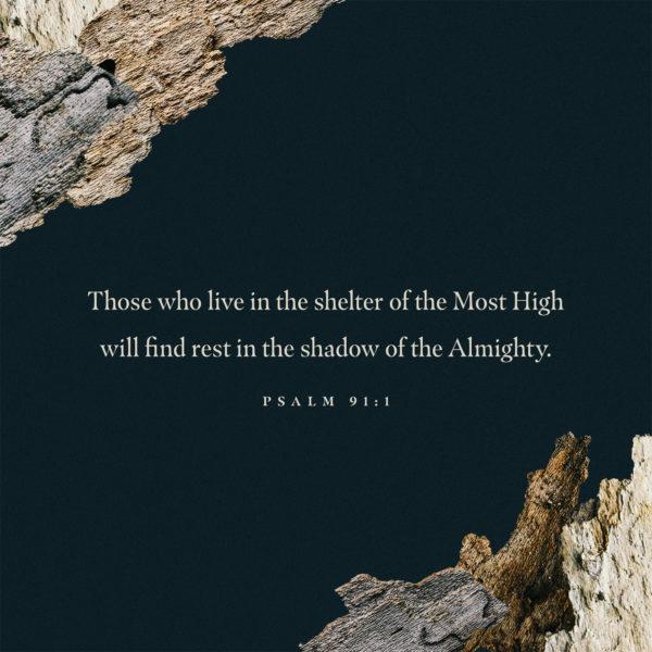 Those who live in the shelter of the Most High will find rest in the shadow of the Almighty. – Psalm 91:1