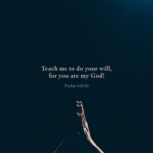 Teach me to do your will, for you are my God! – Psalm 143:10