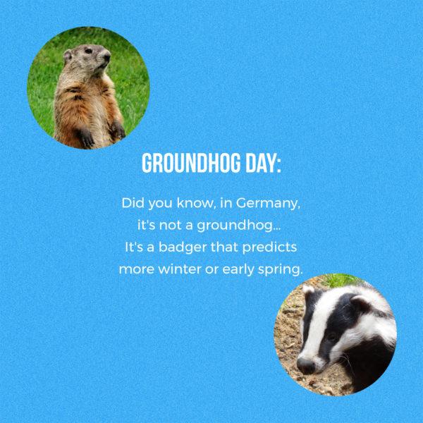 Groundhog Day: Did you know, in Germany, it’s not a groundhog… It’s a badger that predicts more winter or...