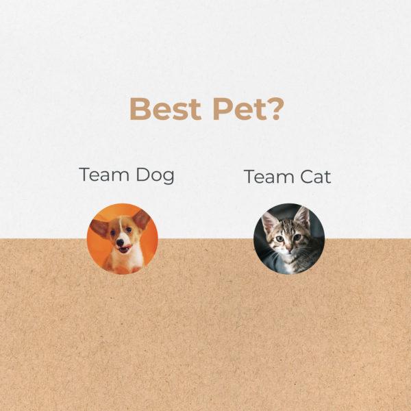 Best pet? Dog or cat.