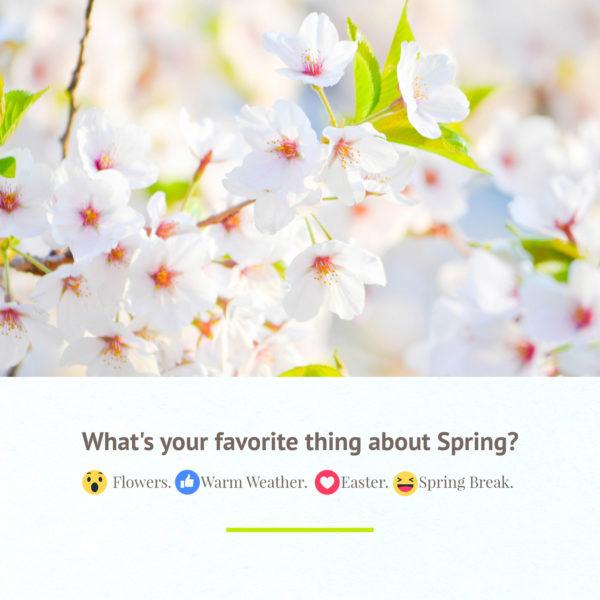 What’s your favorite thing about Spring? Flowers. Warm weather. Easter. Spring Break.