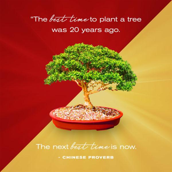 The best time to plant a tree was 20 years ago. The next best time is now. – Chinese Proverb