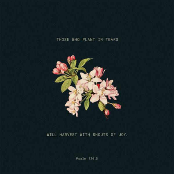 Those who plant in tears will harvest with shouts of joy. – Psalm 126:5