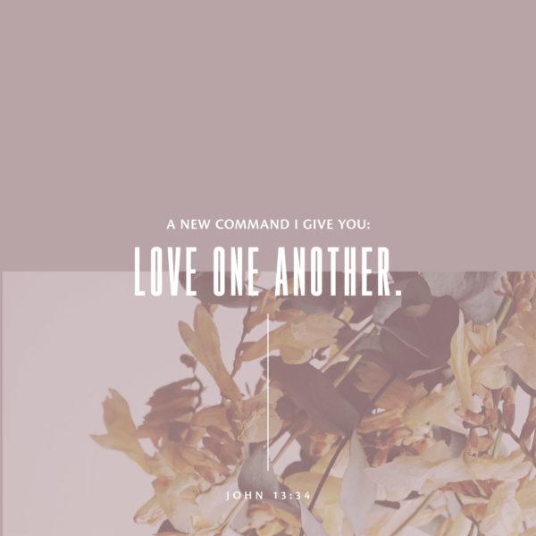 A new command I give you: Love one another. – John 13:34