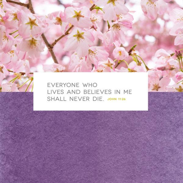 Everyone who lives and believes in me shall never die. – John 11:26