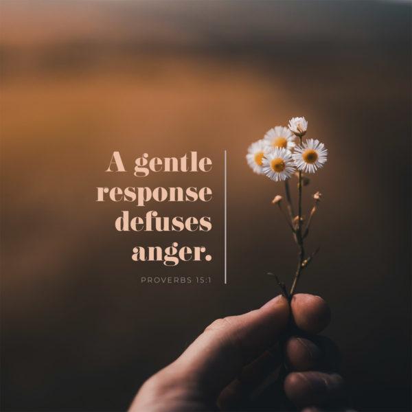 A gentle response defuses anger. – Proverbs 15:1