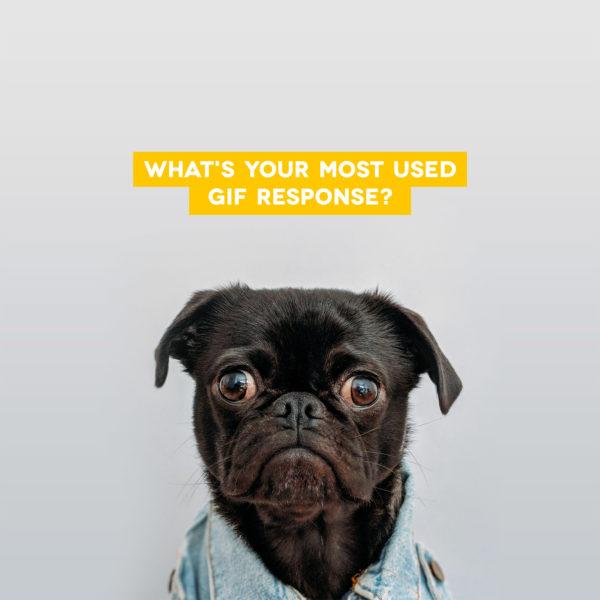 What’s your most used gif response?