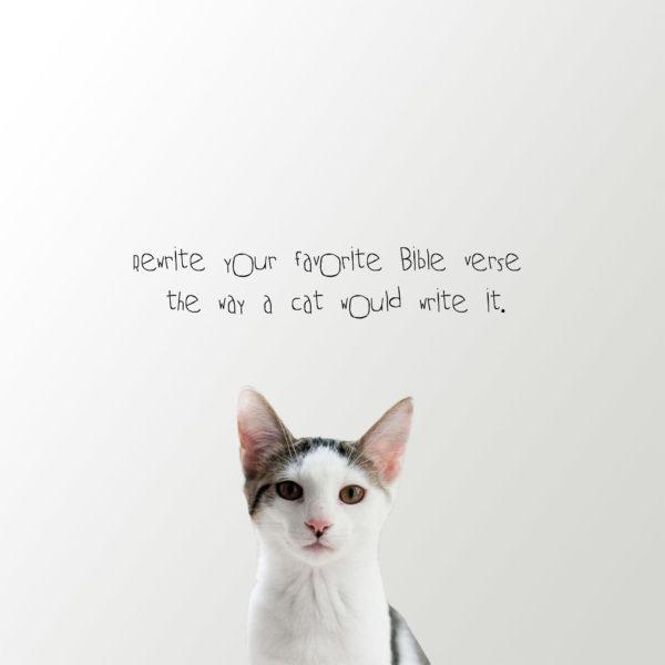 Rewrite your favorite Bible verse the way a cat would write it.