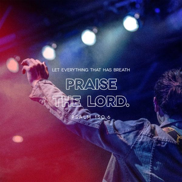 Let everything that has breath praise the LORD. – Psalm 150:6