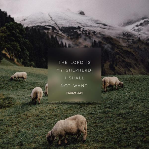 The LORD is my shepherd; I shall not want. – Psalm 23:1