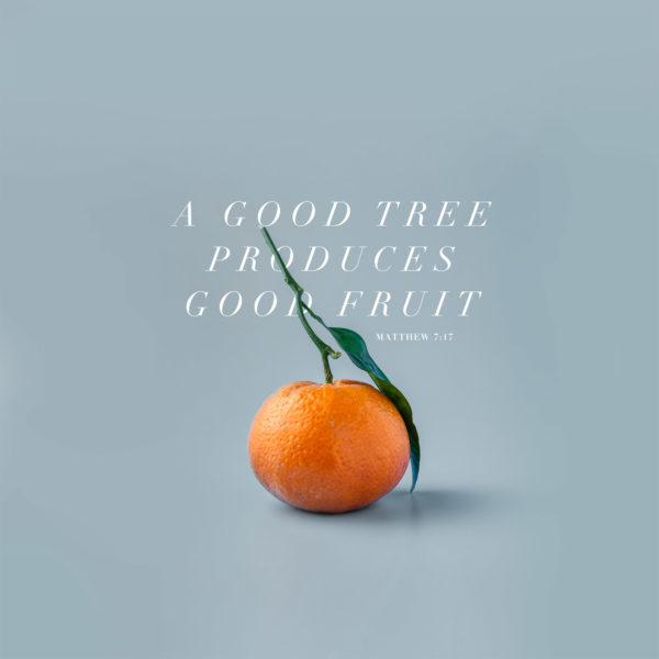 A good tree produces good fruit. – Matthew 7:17