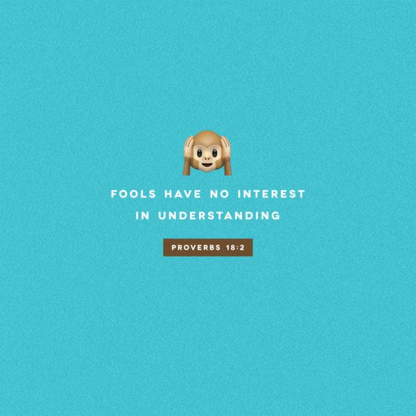 Fools have no interest in understanding – Proverbs 18:2