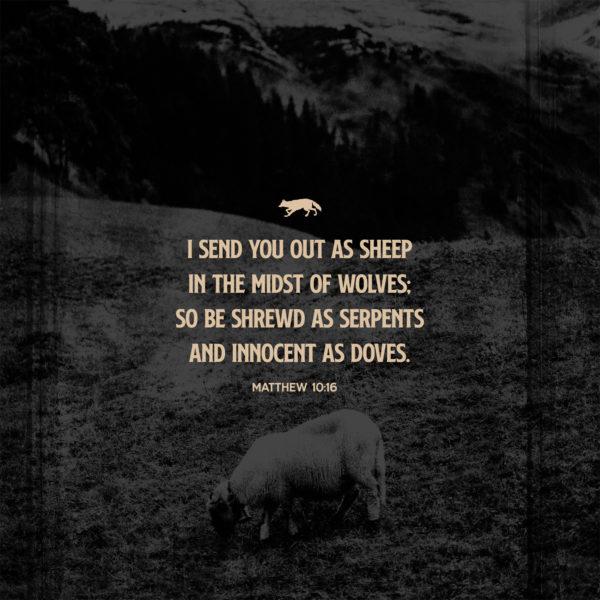 I send you out as sheep in the midst of wolves; so be shrewd as serpents and innocent as doves. – Matthew 10:16