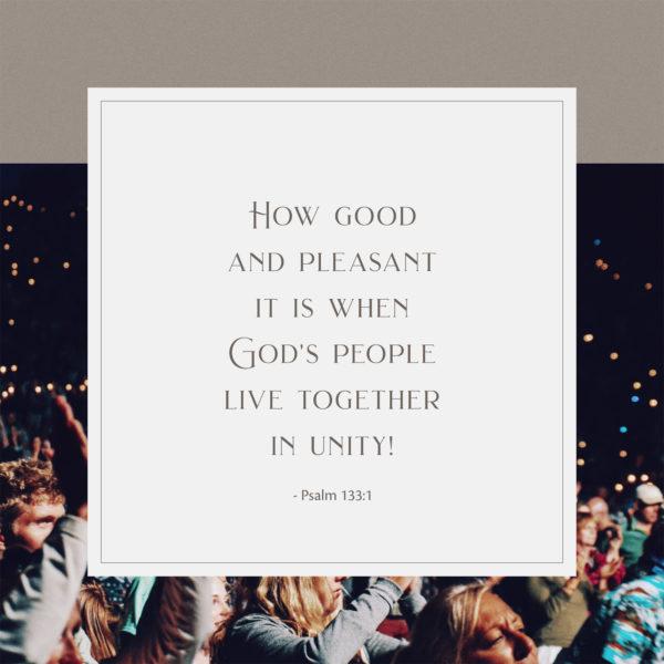 How good and pleasant it is when God’s people live together in unity! – Psalm 133:1